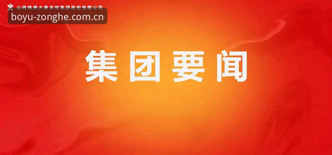 博鱼体育APP好用吗使用指南 博鱼体育APP好用吗?2026新版安装使用教程